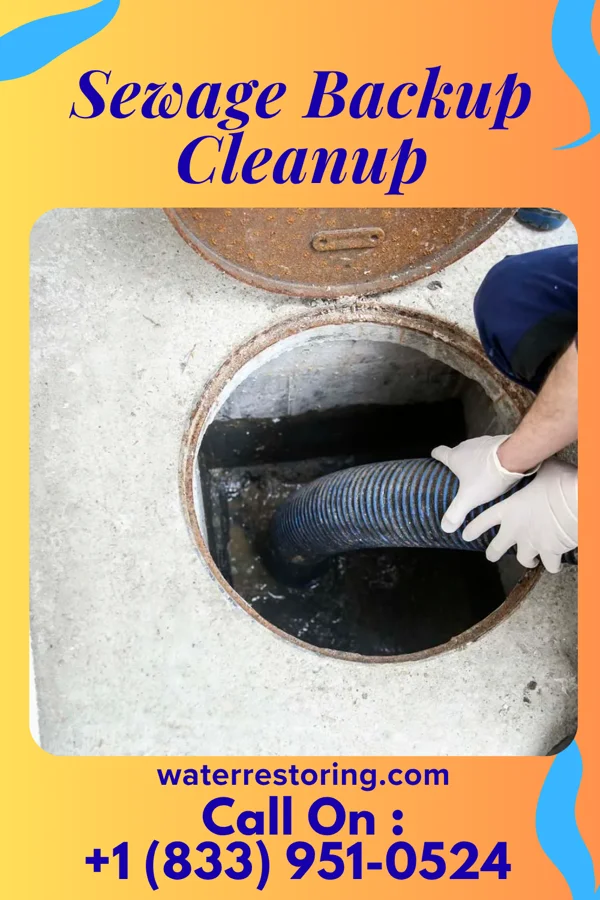 Sewage Backup Cleanup in Arco, MN