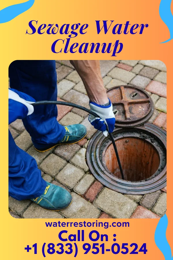 Sewage Water Cleanup in Arco, MN