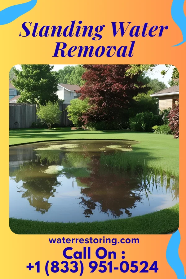 Standing Water Removal in Arco, MN